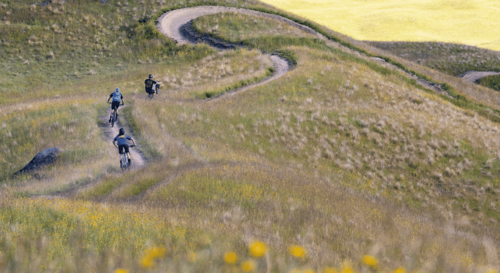 New Zealand Mountain Biking