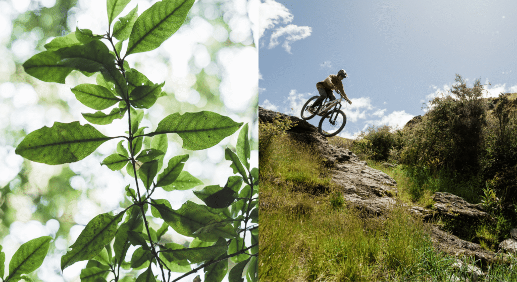 Earth Day ideas