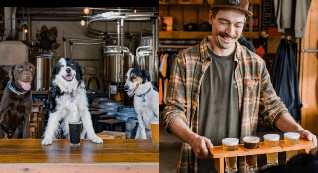 Craft beer breweries in Wanaka