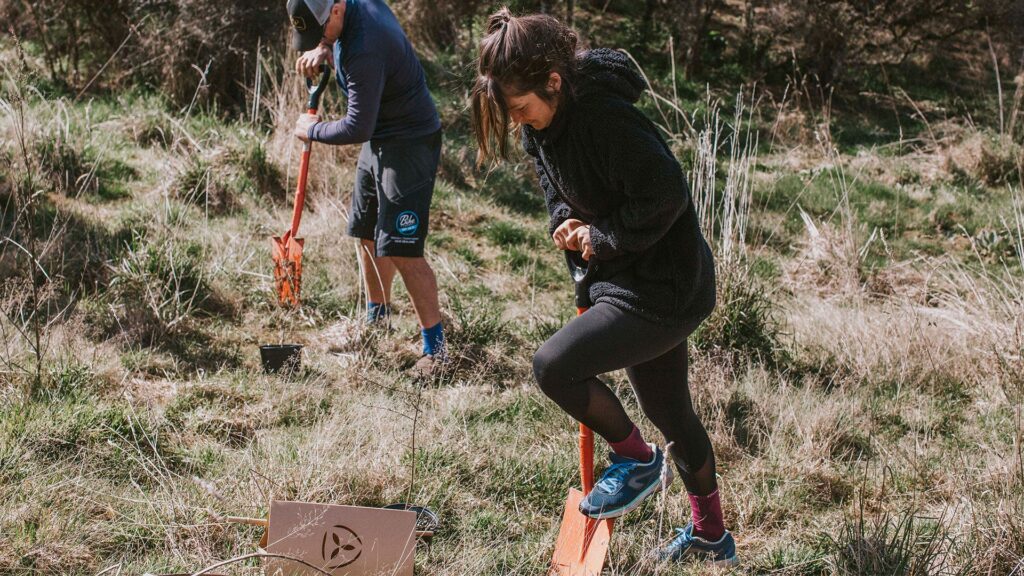 People planting natives at Bike Glendhu