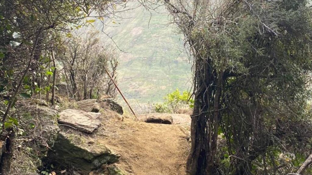 New black tech MTN trail at Bike Glendhu, Wanaka NZ